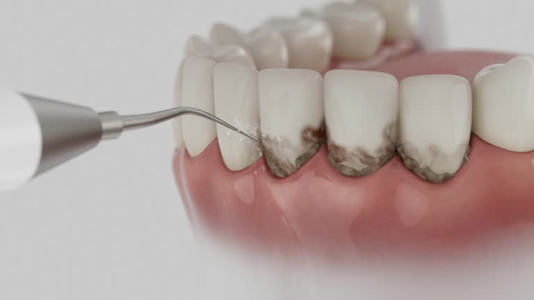Reliable Dental contractor in Slippery Rock, PA by Dentist Open Now